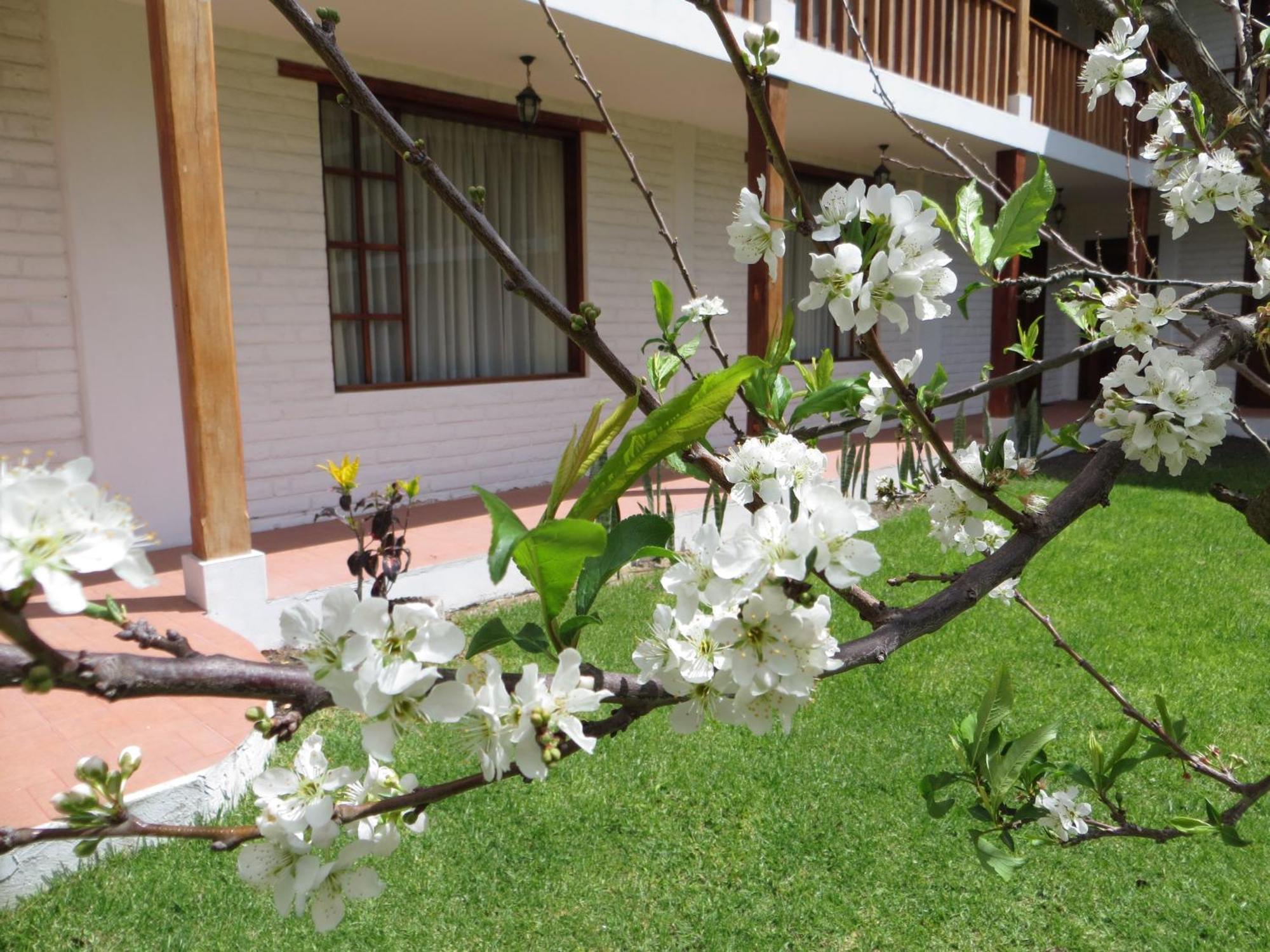 فندق La Quinta San Andres إيبارا المظهر الخارجي الصورة